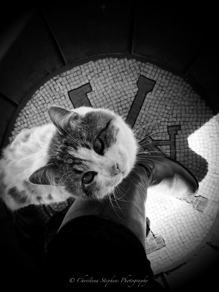 File Nov 29, 12 46 39 PM copy