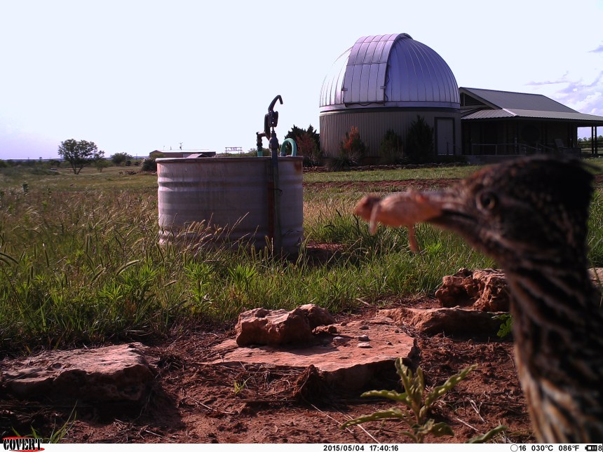 Covert-June 3, 2015 237