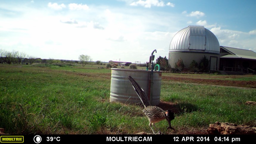 MOULTRIE DIGITAL GAME CAMERA
