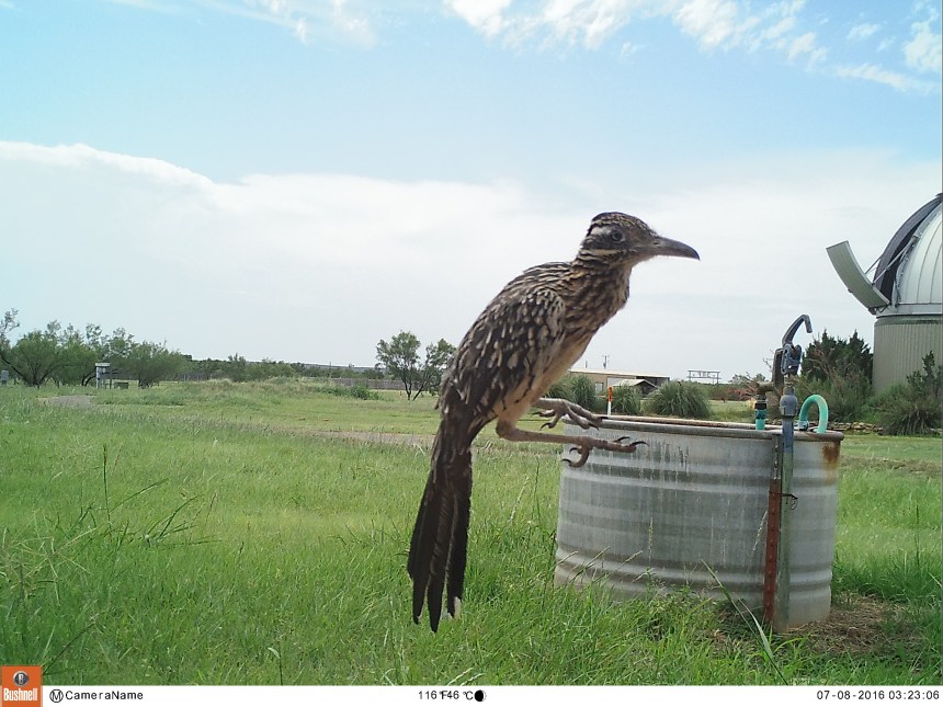 M2E119L226-226R392B382