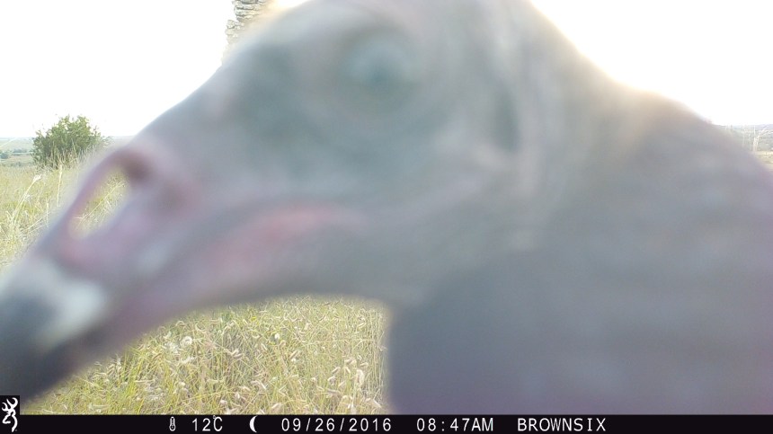 0847:092616:12C:0000:BROWNSIX:7