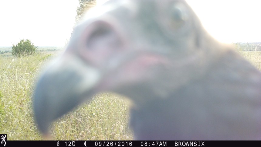 0847:092616:12C:0000:BROWNSIX:7