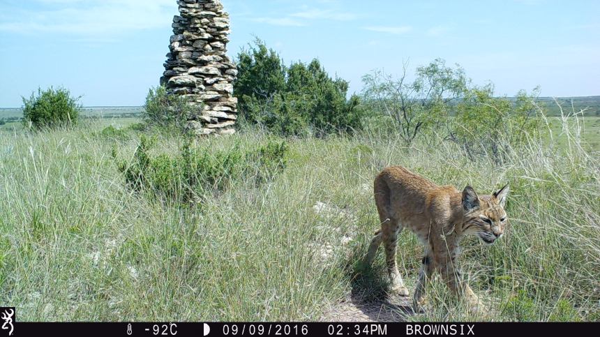 1434:090916:-92C:0000:BROWNSIX:2