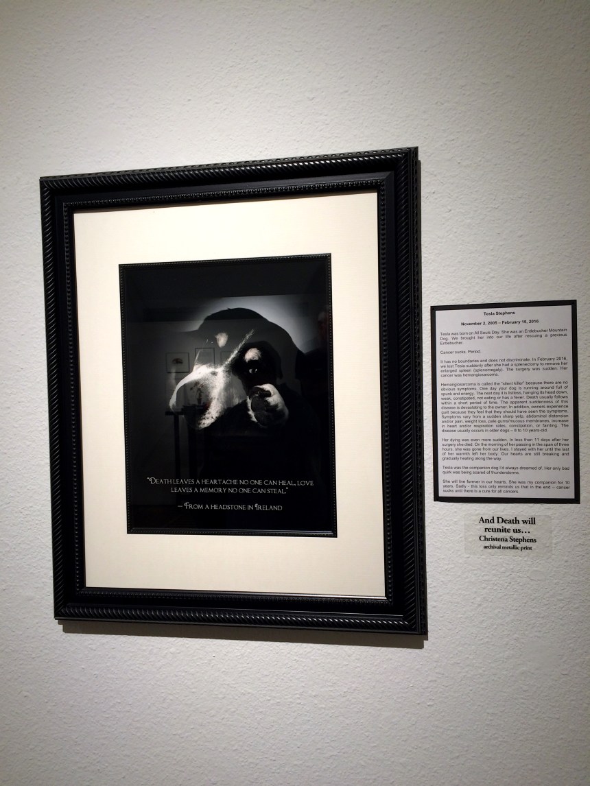 Remembering Tesla and Jett - All Souls' Day - Dog Cancer