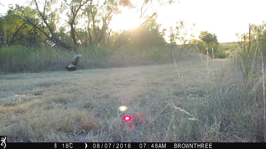 0748:080716:18C:0000:BROWNTHREE:1