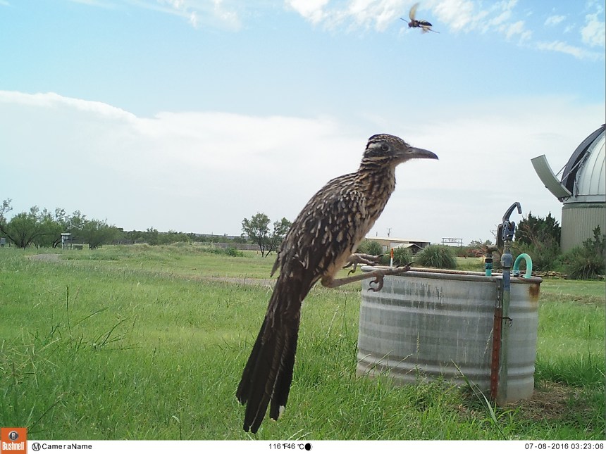 M2E119L226-226R392B382