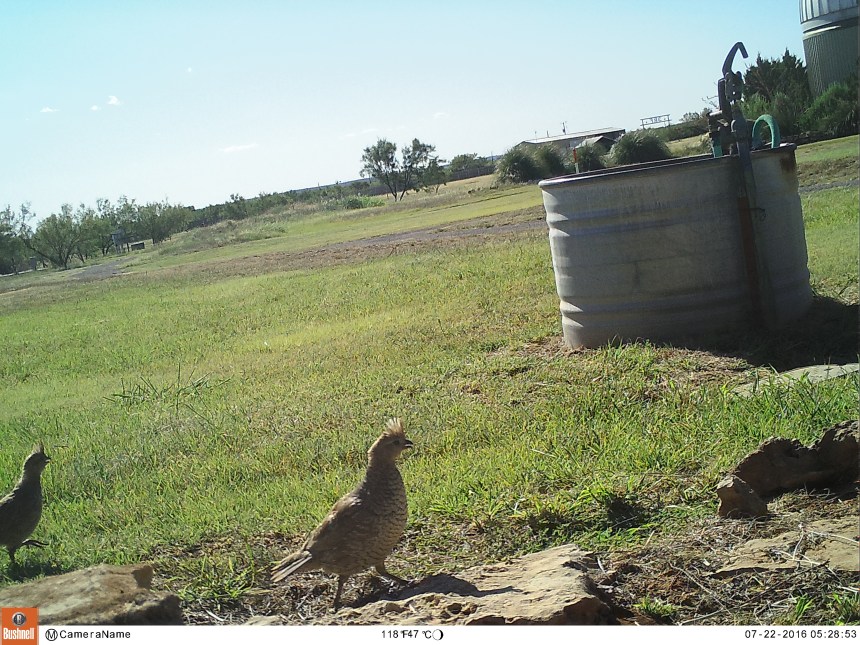 M2E127L238-238R392B382