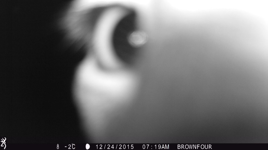 0719:122415:-2C:0000:BROWNFOUR:3