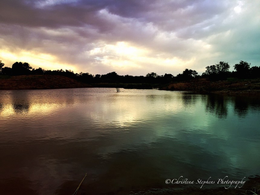 Beaver Pond Restored-imp