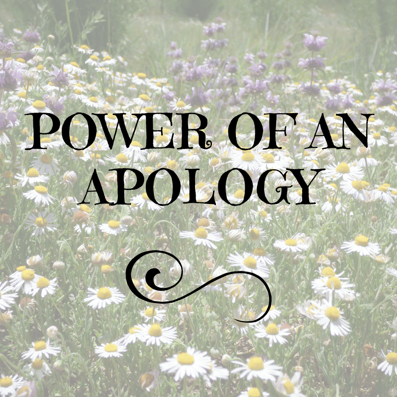 Power of Apology
