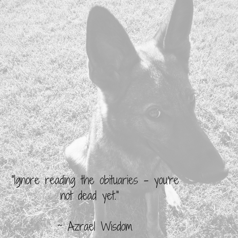 Copy of _To know one's self is wisdom, but not to know one's neighbors is genius._ _ Minna Antrim