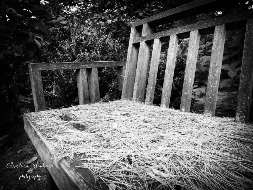 Talking Bench-Madison-ExposureB&amp;W 2-imp