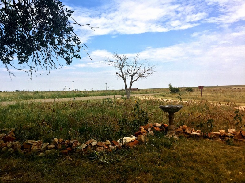 Garden, Outside, Blue Sky, Rocks