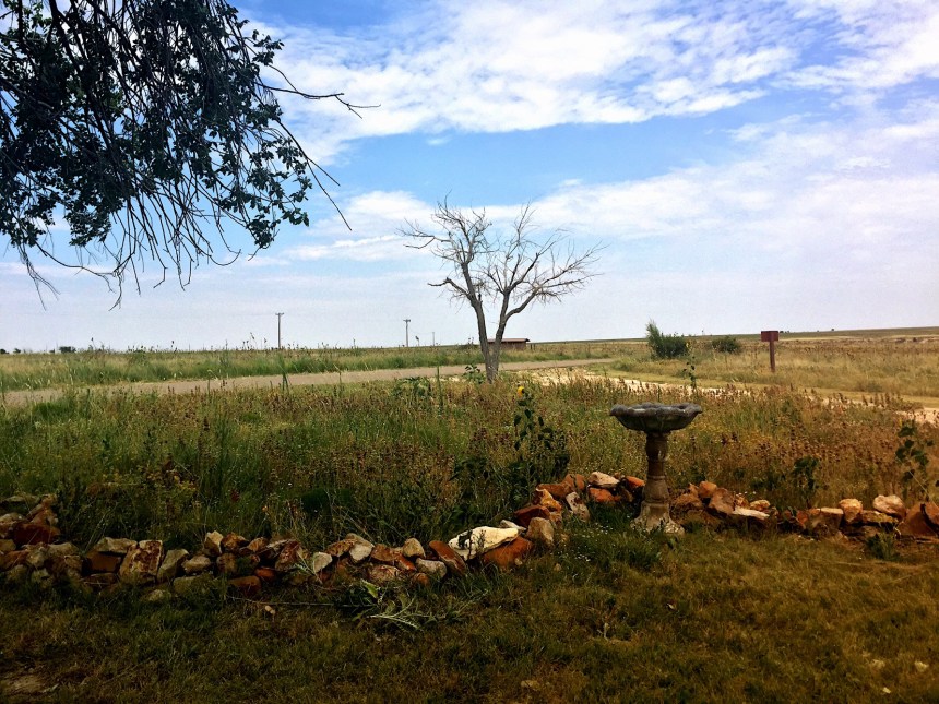 Garden, Outside, Blue Sky, Rocks