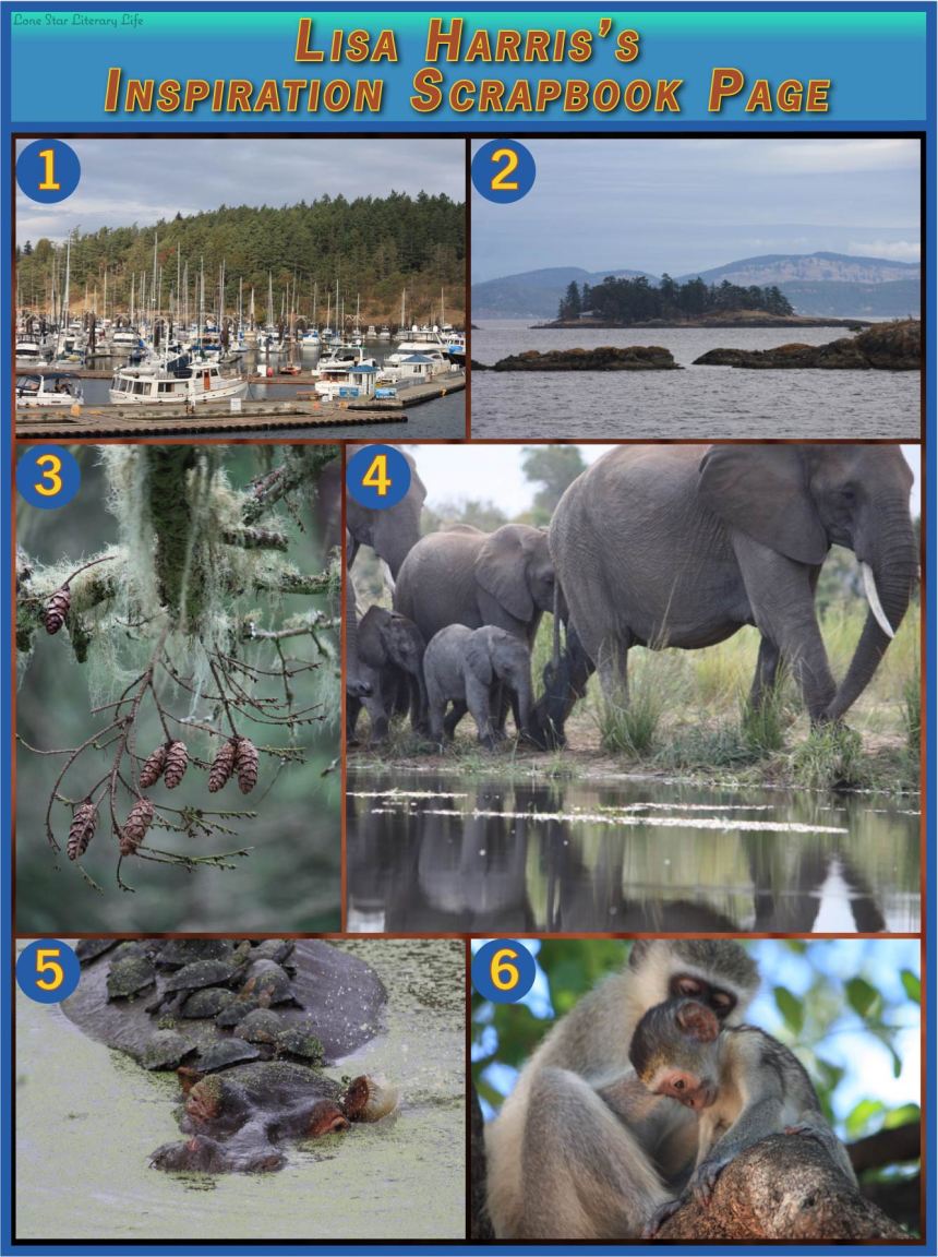 0711 CHRISTENA Scrapbook Page 2 of 2 The Chase