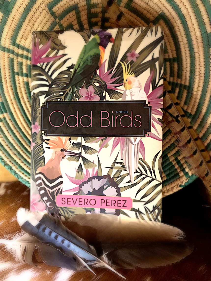 Christena Odd Birds Bookstagram