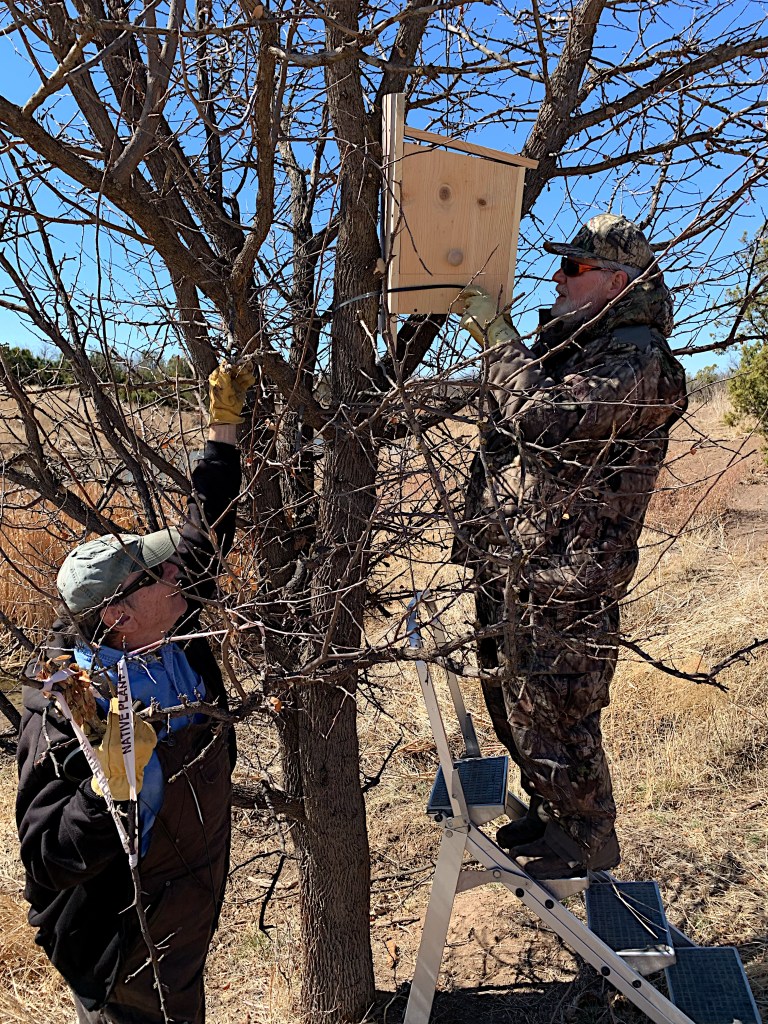 Installing of an owl nesting box by Norm and Larry