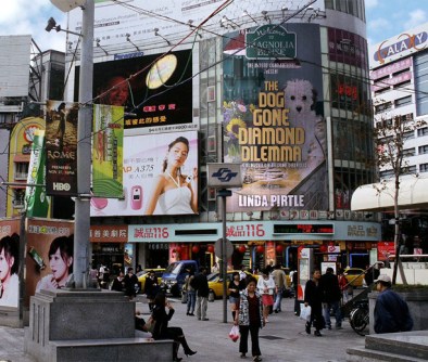 XTRA dog gone diamond dilema