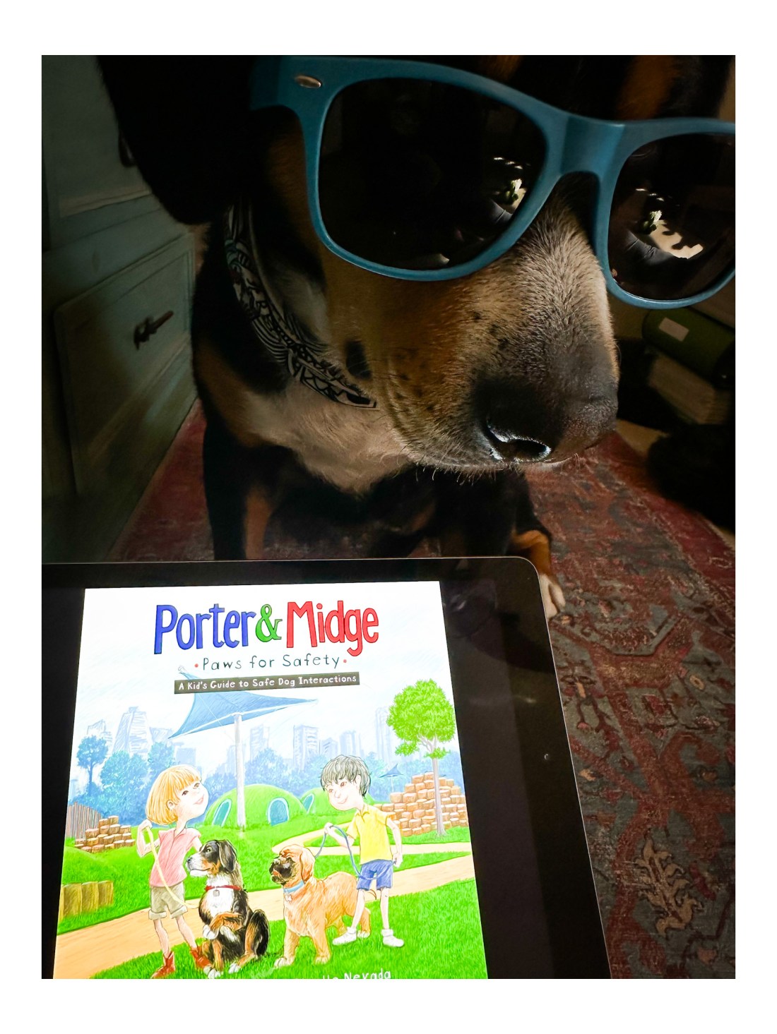 A dog wearing sunglasses with a copy of Porter and Midge on an iPad.